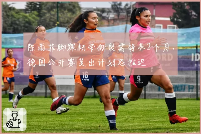 陈雨菲脚踝韧带撕裂需静养2个月，德国公开赛复出计划恐推迟