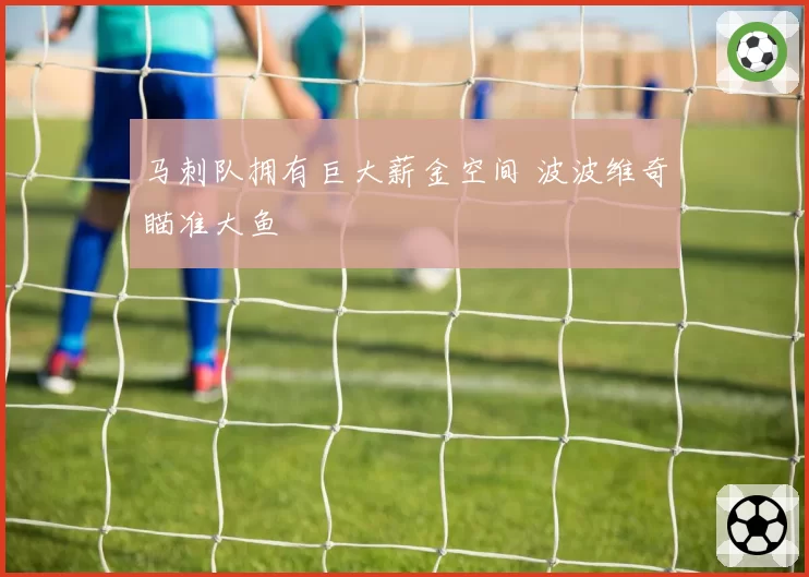 马刺队拥有巨大薪金空间 波波维奇瞄准大鱼